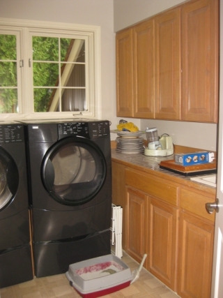 Broadview Laundry - Before