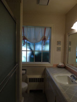 Viewridge Bath Before