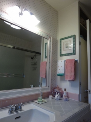 Viewridge Bath Before