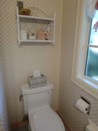 Viewridge Bath Before